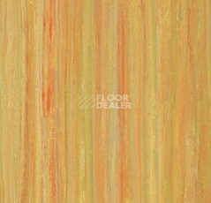 Линолеум Forbo Marmoleum Decibel on Order 524135 sunshine yellow фото 1 | FLOORDEALER
